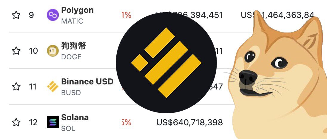 BUSD遭狗狗幣篡位跌出前十大幣種！市值下探111億美元