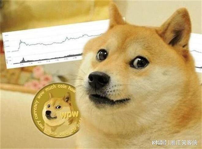 狗狗幣 (DOGE) 成為不可阻擋域名的最新支付選項